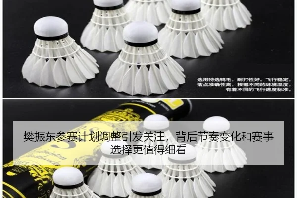 樊振东参赛计划调整引发关注，背后节奏变化和赛事选择更值得细看